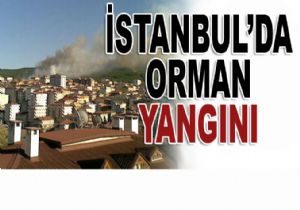 Anadolu Yakasn Dumanlar Sard